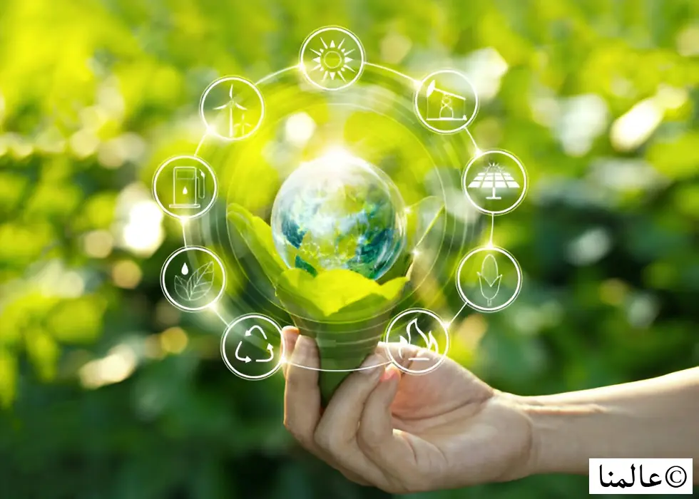 حقائق عن البيئة