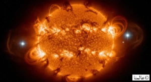 النضج معركة التوازن الكبرى