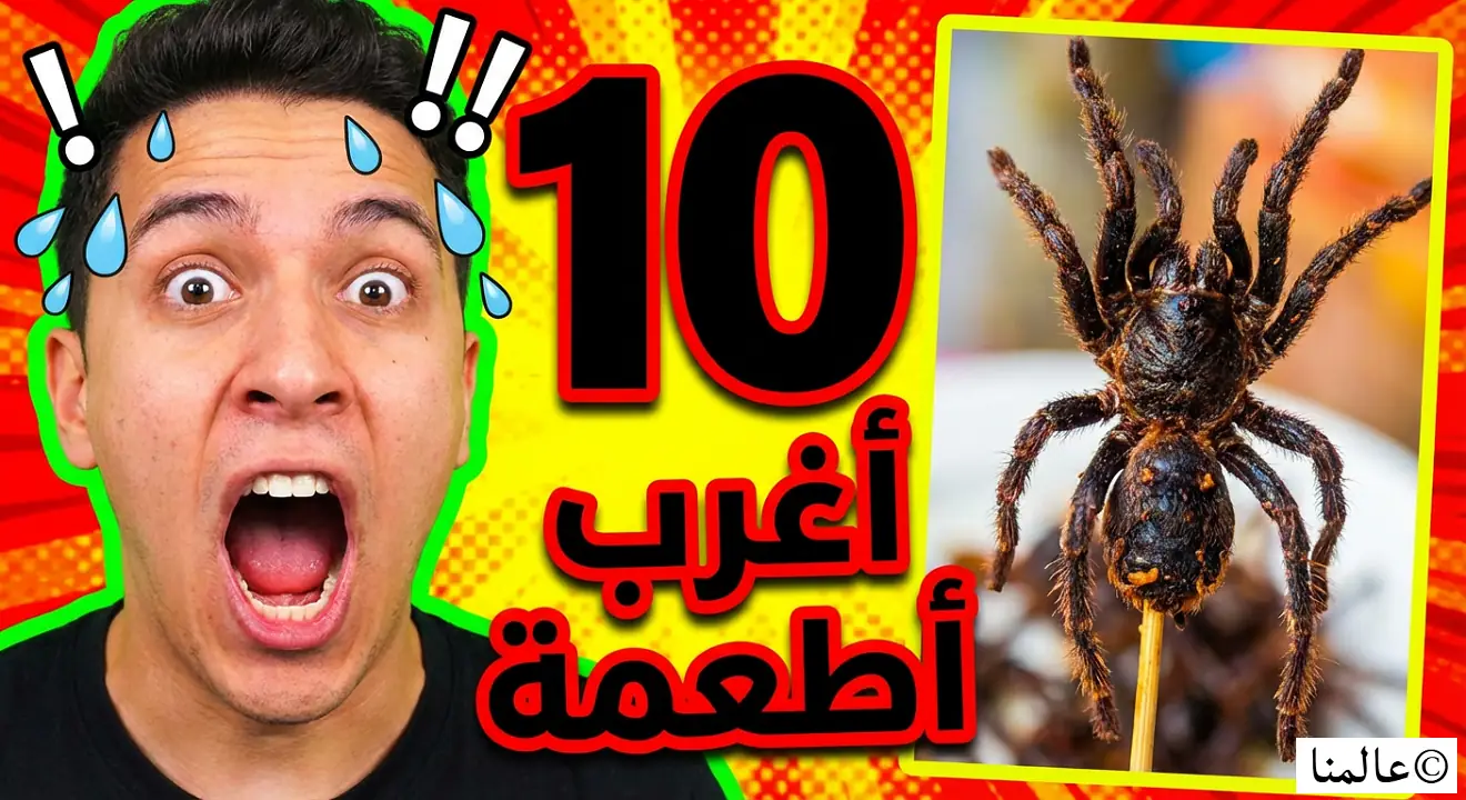 أغرب 10 أطعمة في العالم.. هل تجرؤ على تجربتها؟ 1 أغرب 10 أطعمة