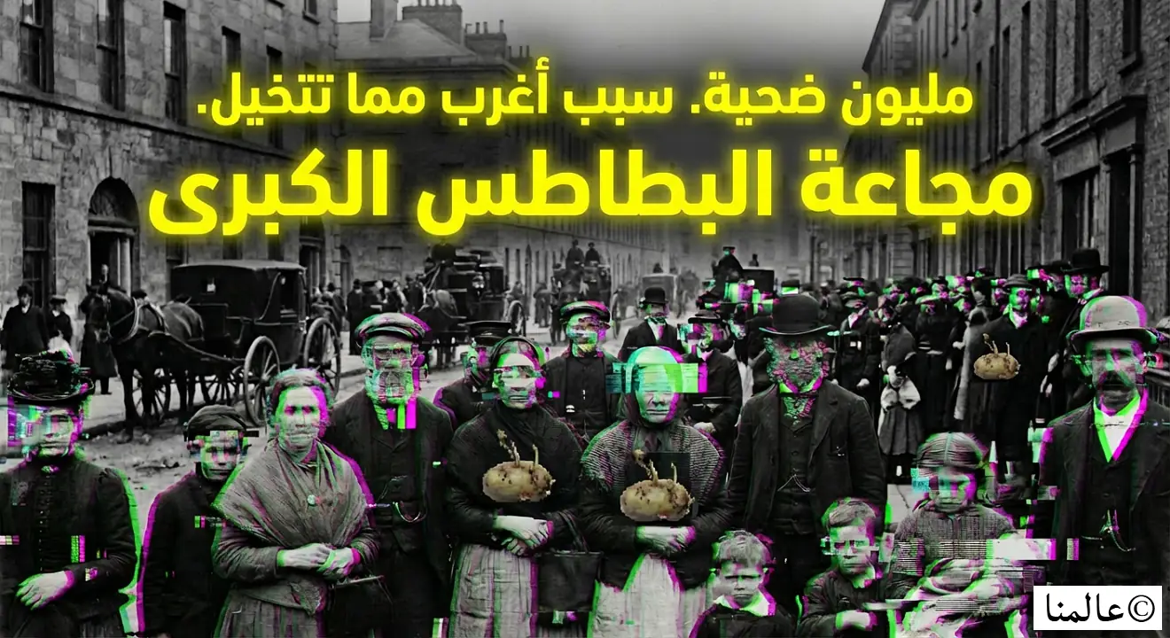 مجاعة البطاطس الكبرى