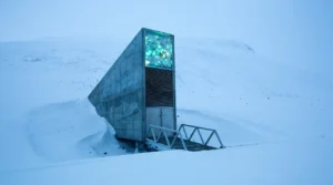 الموت ممنوع هنا! أسرار الحياة في الدائرة القطبية 3 مدخل قبو سفالبارد العالمي للبذور الملقب بقبو يوم القيامة مدفوناً في الجليد لحفظ المحاصيل