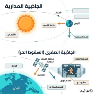 ما دور الجاذبية في الفضاء والكون؟